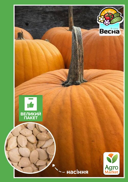 Тыква "Титан" (Большой пакет) ТМ "Весна" 4г