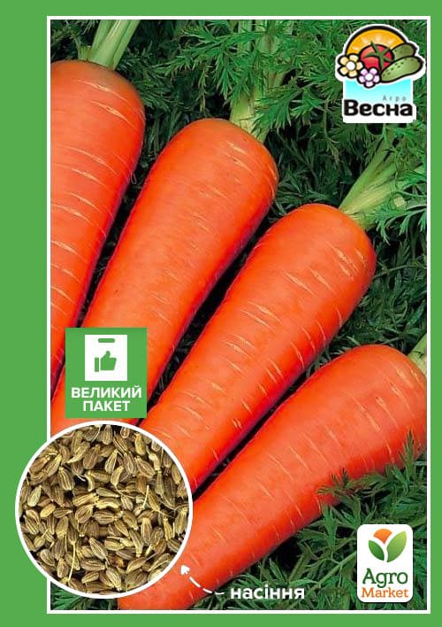 Морковь "Шантане Сквирская" (Большой пакет) ТМ "Весна" 4г