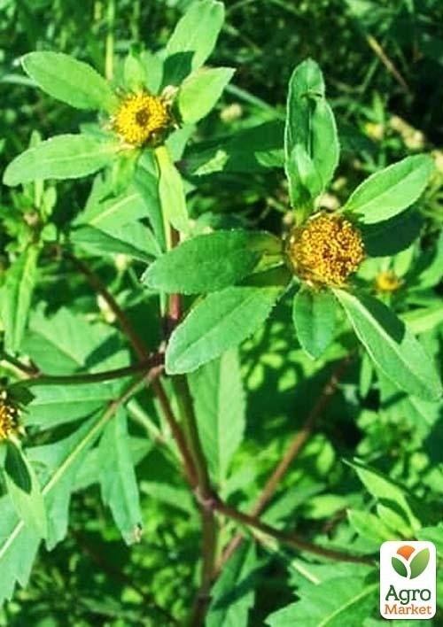 Череда трёхраздельная ТМ "Весна" 500г