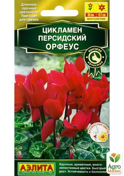 Цикламен персидский "Орфеус" ТМ "Аэлита" 3шт