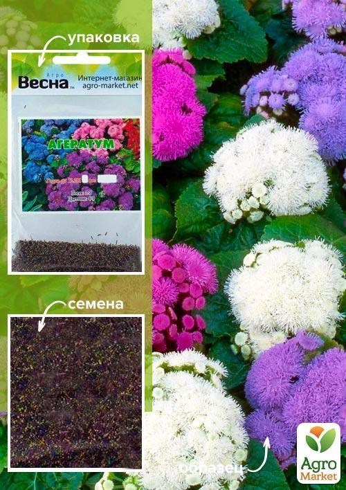 Агератум смесь окрасок (Зипер) ТМ "Весна" 1г