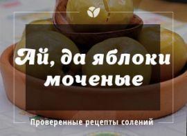 Рецепт мочених яблук: як приготувати мочені яблука в домашніх умовах