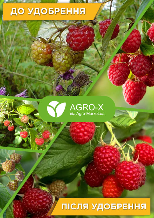 Мінеральне добриво BIOHYPER EXTRA "Для малини" (Біохайпер Екстра) ТМ "AGRO-X" 100г