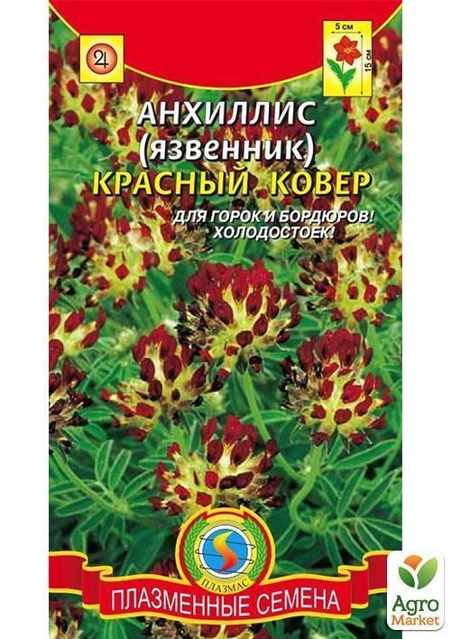 Анхілліс (Язвенник) "Червоний килим" ТМ "Плазмові насіння" 0,02 г