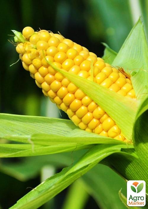 Кукурудза "Суперсолодка" (у банці) ТМ "Весна" 100г