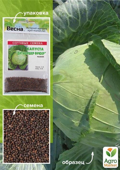 Капуста "Дітмаршер Фрюєр" (Зипер) ТМ "Весна" 3г
