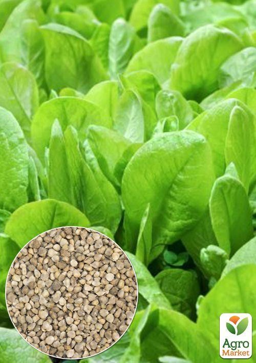 На развес Шпинат "Гигантский" ТМ "Весна" цена за 7г