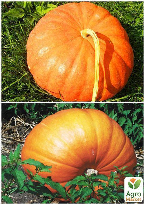 На вагу Гарбуз "Народний" ТМ "Весна" ціна за 10г - фото 4