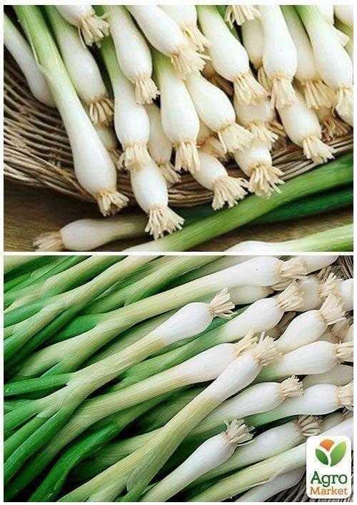 На вагу Цибуля на зелень "Токіо" ТМ "Весна" ціна за 3г - фото 3