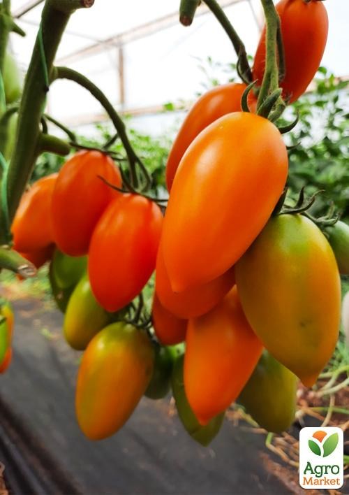 Томат "Лисички" ТМ "Vesna Select" 0,2г