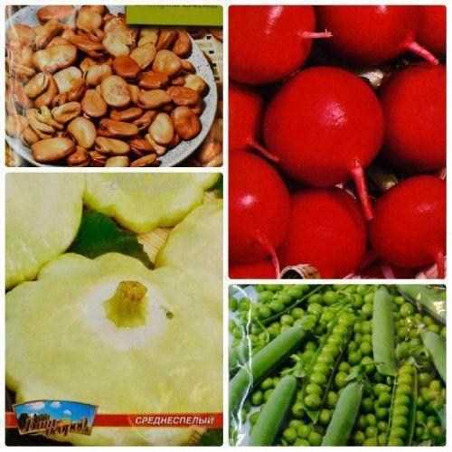 Комплект семян овощей "Разновидный урожай" 10уп