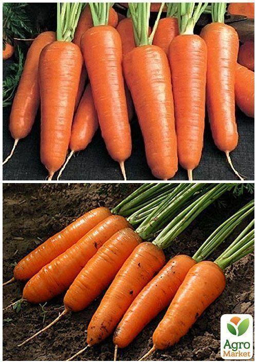 На развес Морковь "Каротель" ТМ "Весна" цена за 10г - фото 2