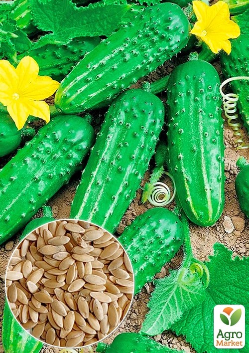 Огурец "Пальчик" ТМ "Весна" 0.5г