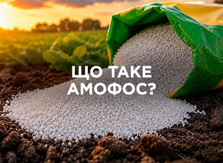 Амофос: що це таке?