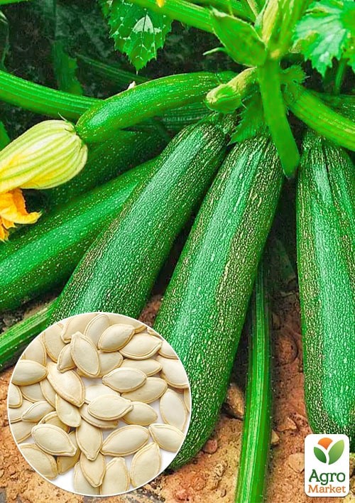 Кабачок "Солидор" (Зипер) ТМ "Весна" 5г