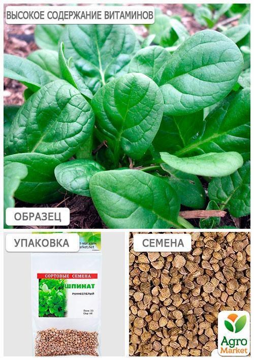Шпинат (Зипер) ТМ "Весна" 5г - фото 4