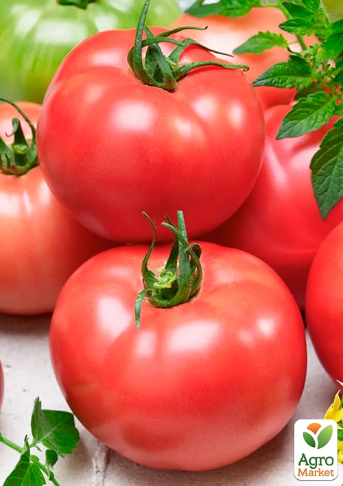 Томат "Дар Заволжья" (Зипер) ТМ "Весна" 0,5г - фото 3