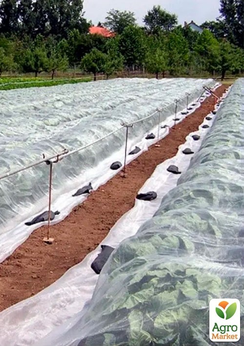 АГРОволокно укрывное (белое) Плотность 23, Ширина 3.2м, Длина 10м. - фото 2
