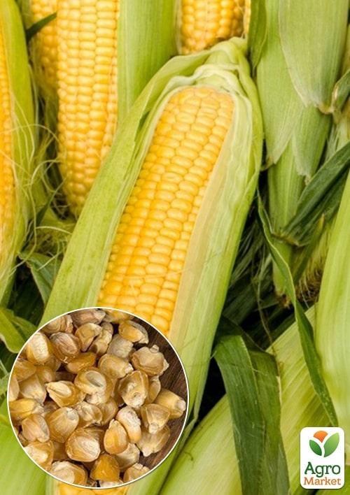 На вагу Кукурудза "Лакомка" ТМ "Весна" ціна за 40г