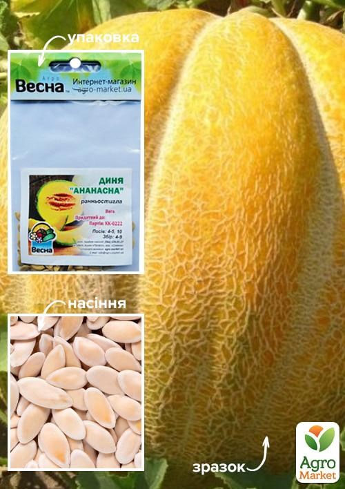 Диня "Ананасна" (Зипер) ТМ "Весна" 3г