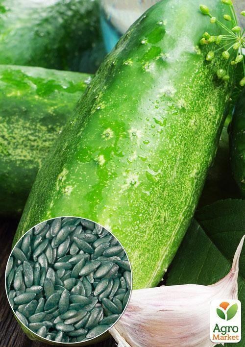 На вагу Огірок "Передгірний виноград F1" ТМ "Весна" ціна за 1г