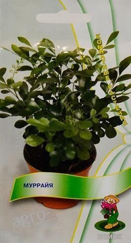Муррайя ТМ "Поиск" 5шт