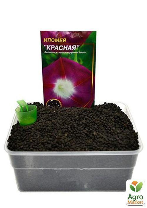 На вагу Іпомея червона ТМ "Весна" ціна за 2г - фото 2