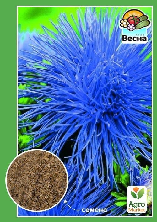 Айстра "Голчаста блакитна" ТМ "Весна" 0.2г