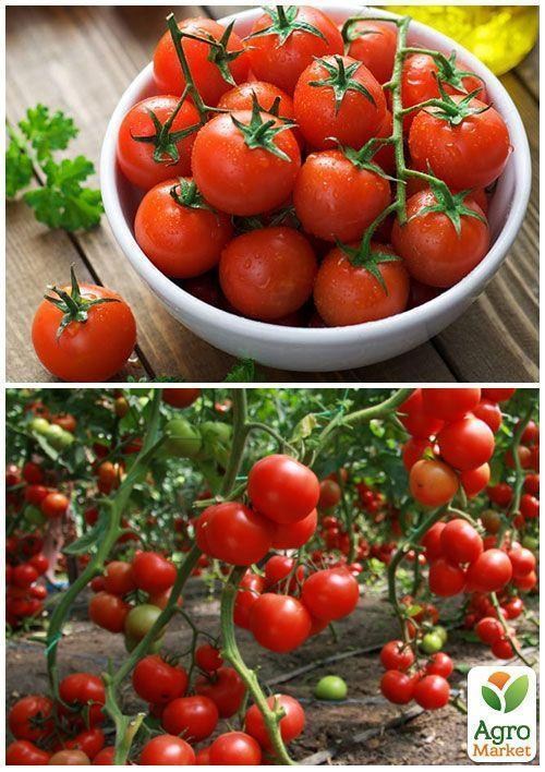 На вагу Томат "Виноградний" ТМ "Весна" ціна за 1г - фото 2