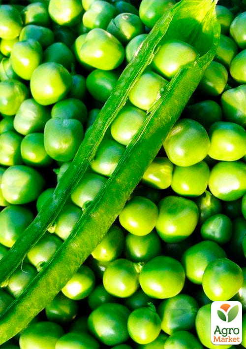 На развес Горох "Сахарный стручок" ТМ "Весна" цена за 50г - фото 2