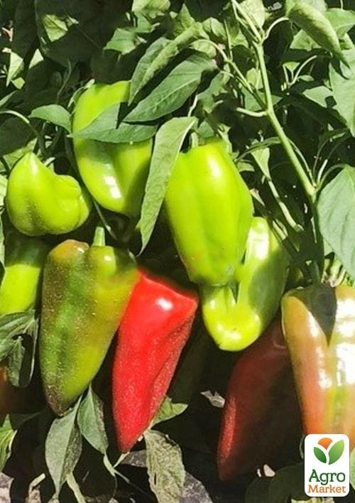 Перец "Магус F1" ТМ "Lark Seeds" 500шт
