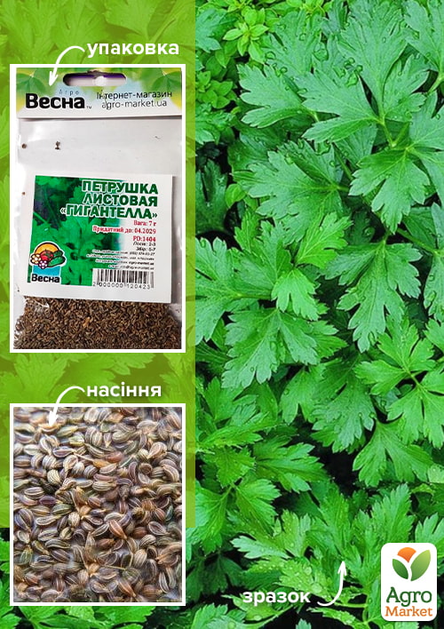 Петрушка листовая "Гигантелла" (Зипер) ТМ "Весна" 7г