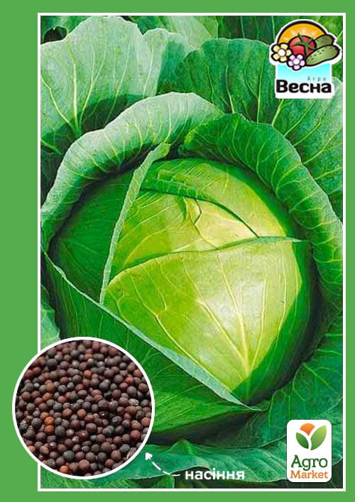 Капуста пізньостигла "Княгиня" ТМ "Весна" 0.5г