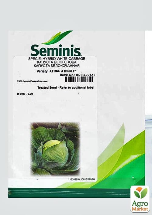 Капуста "Атрия" ТМ "Sеminis" 2500шт