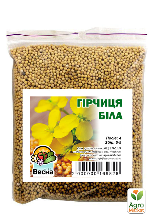 Горчица белая ТМ "Весна" 100гр - фото 2