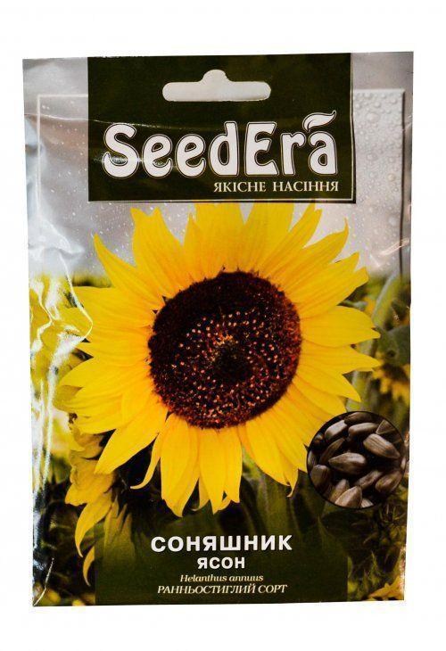 Подсолнечник "Ясон" ТМ "SeedEra"
