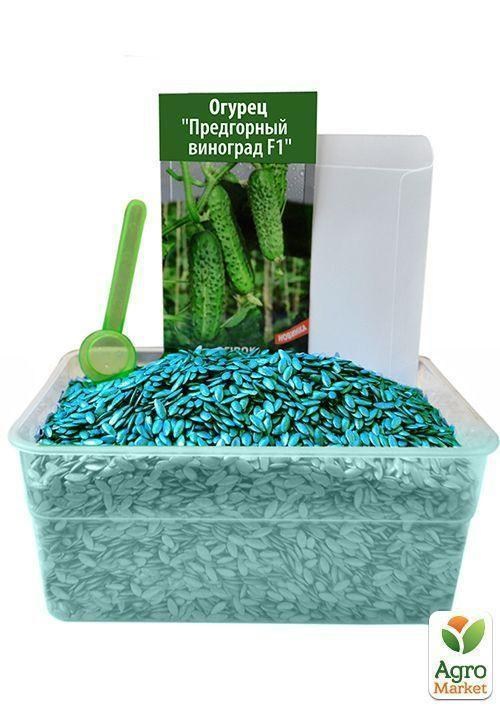 На вагу Огірок "Передгірний виноград F1" ТМ "Весна" ціна за 1г - фото 4