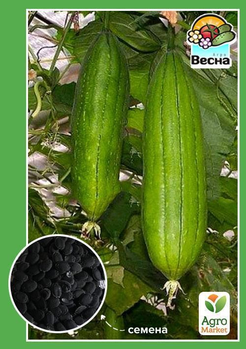 Тыква лиана люффа (Мочалка) ТМ "Весна" 5шт