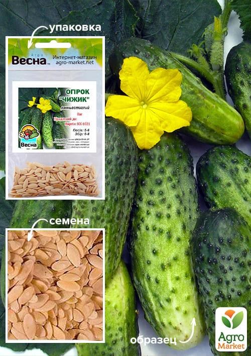 Огурец "Чижик" (Зипер) ТМ "Весна" 2г