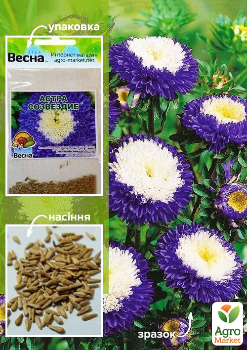 Айстра "Сузір'я" (Зипер) ТМ "Весна" 0,5г