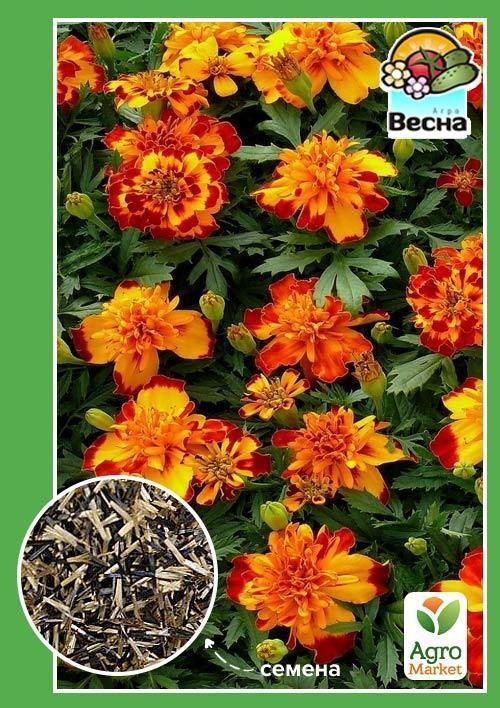 Бархатцы "Мексиканские" смесь ТМ "Весна" 0.3г