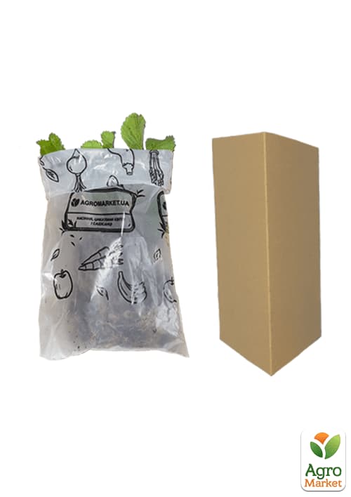 Полуниця "Хоней" (Honey) (ранній термін дозрівання, стійкий до хвороб і шкідників) - фото 5