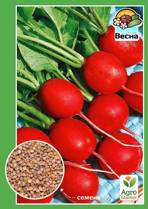 Редис "Чемпион" ТМ "Весна" 2г