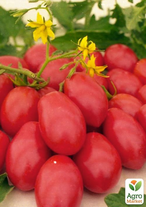 Томат "Рожевий захід" ТМ "Vesna Select" 0.2г