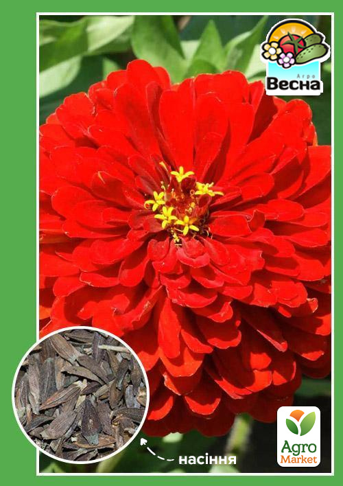 Цинния "Пламя" ТМ "Весна" 0.4г