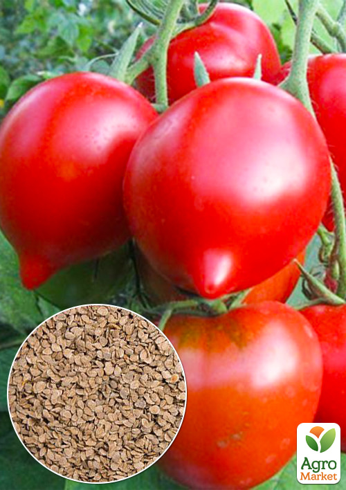 На вагу Томат "Примадонна F1" ТМ "Весна" ціна за 1г