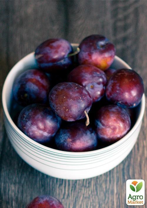 Слива "Карпатия" (летний сорт, средний срок созревания) - фото 3