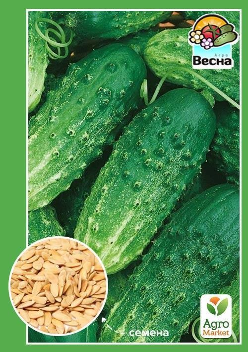 Огірок "Турнір F1" ТМ "Весна" 0.25г