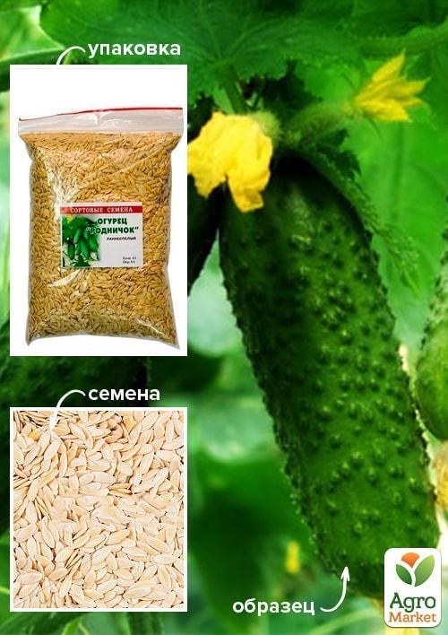 Огірок "Роднічок F1" ТМ "Весна" 500г