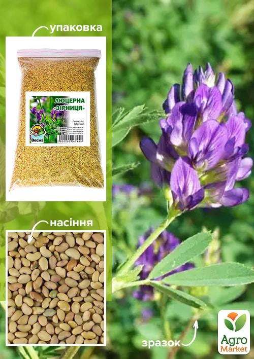 Люцерна "Зарница" ТМ "Весна" 1 КГ